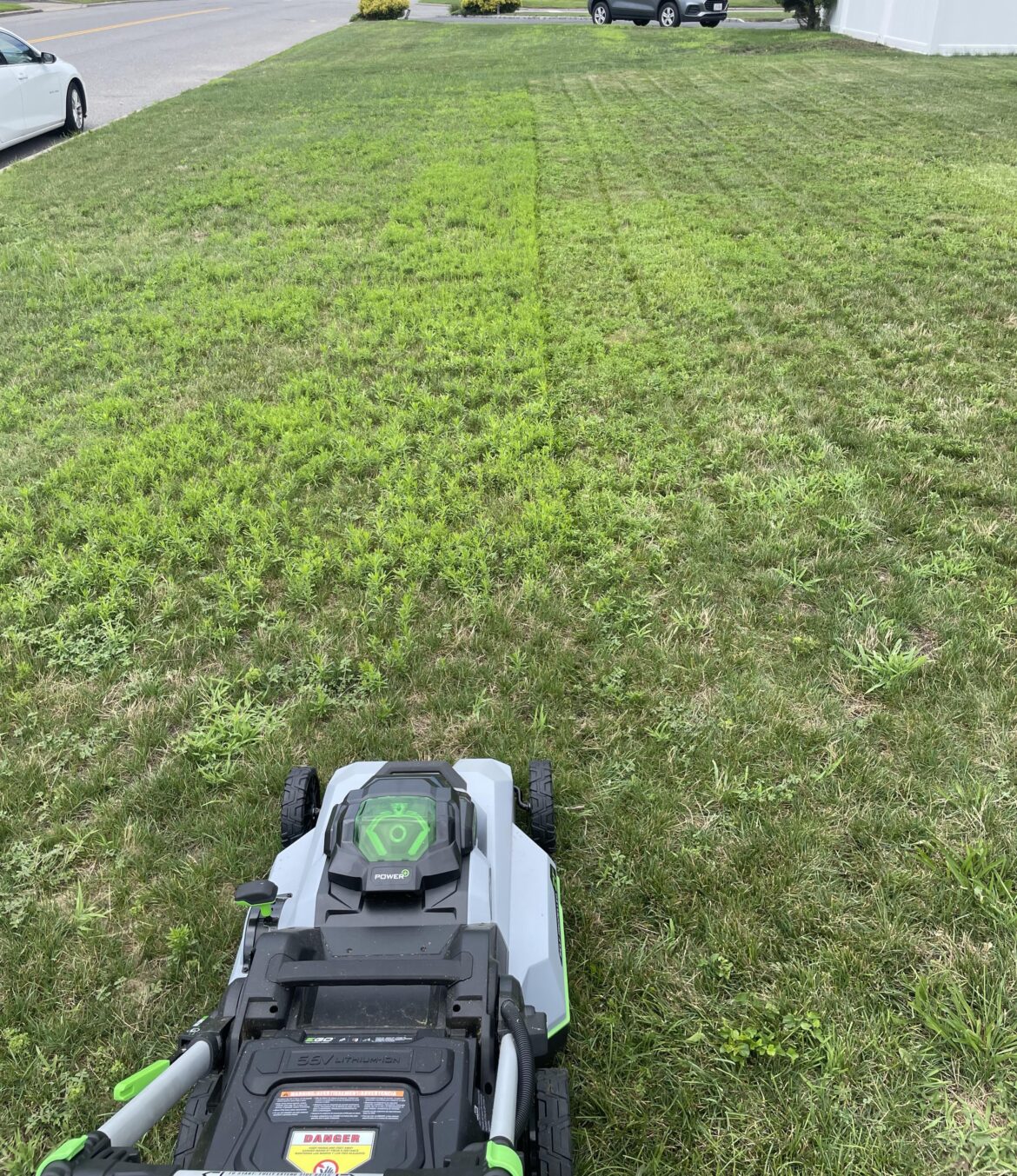 Do I wait till fall, or is there anything I should do now?