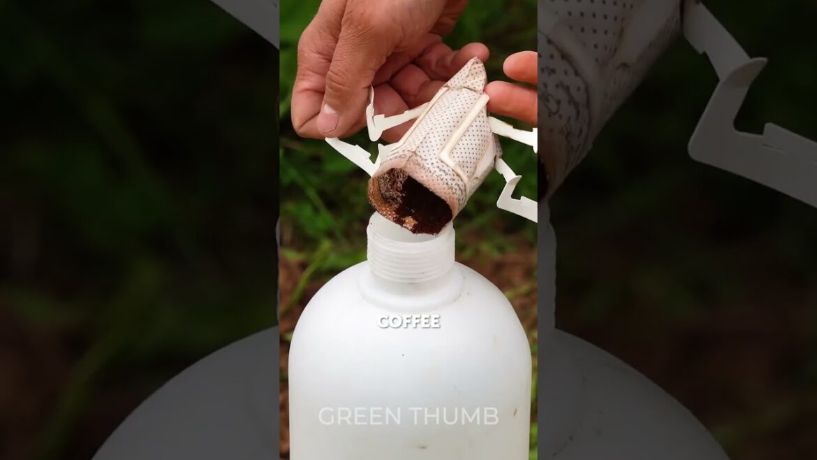 Creative Backyard Hacks for a Cozy Garden Space! Creative Backyard Hacks for a Cozy Garden Space!