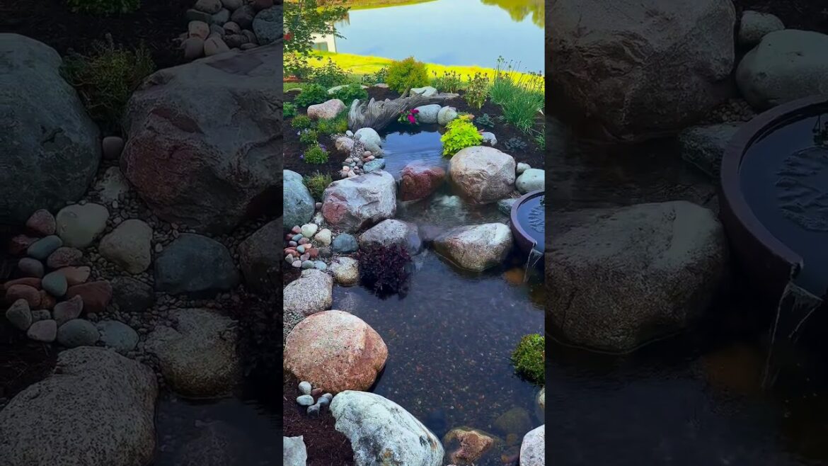 Backyard Relaxing! #shorts