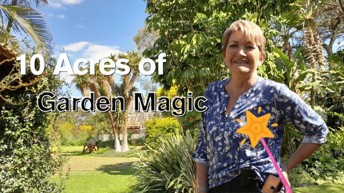 Gardening Tips from a 10-Acre Tropical Garden in Zambia | Garden Tour Gardening Tips from a 10-Acre Tropical Garden in Zambia | Garden Tour