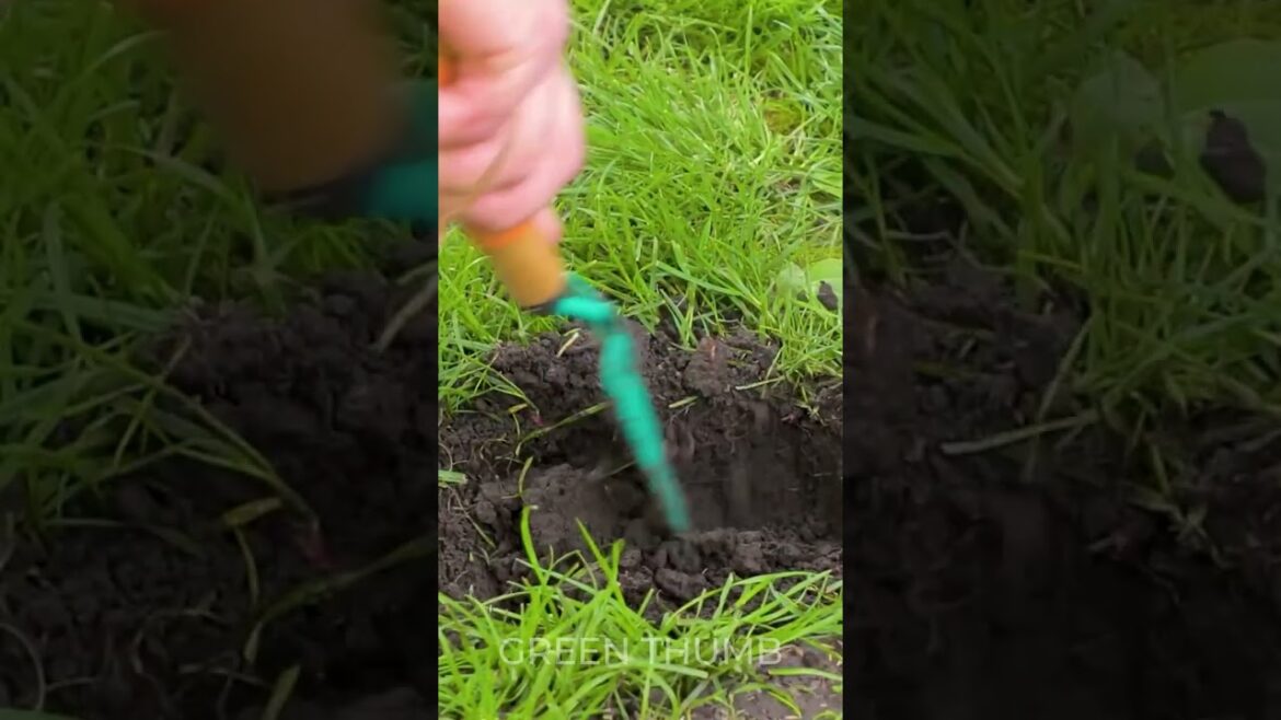 Transform Your Trash into Garden Treasures: Recycled Materials Hacks