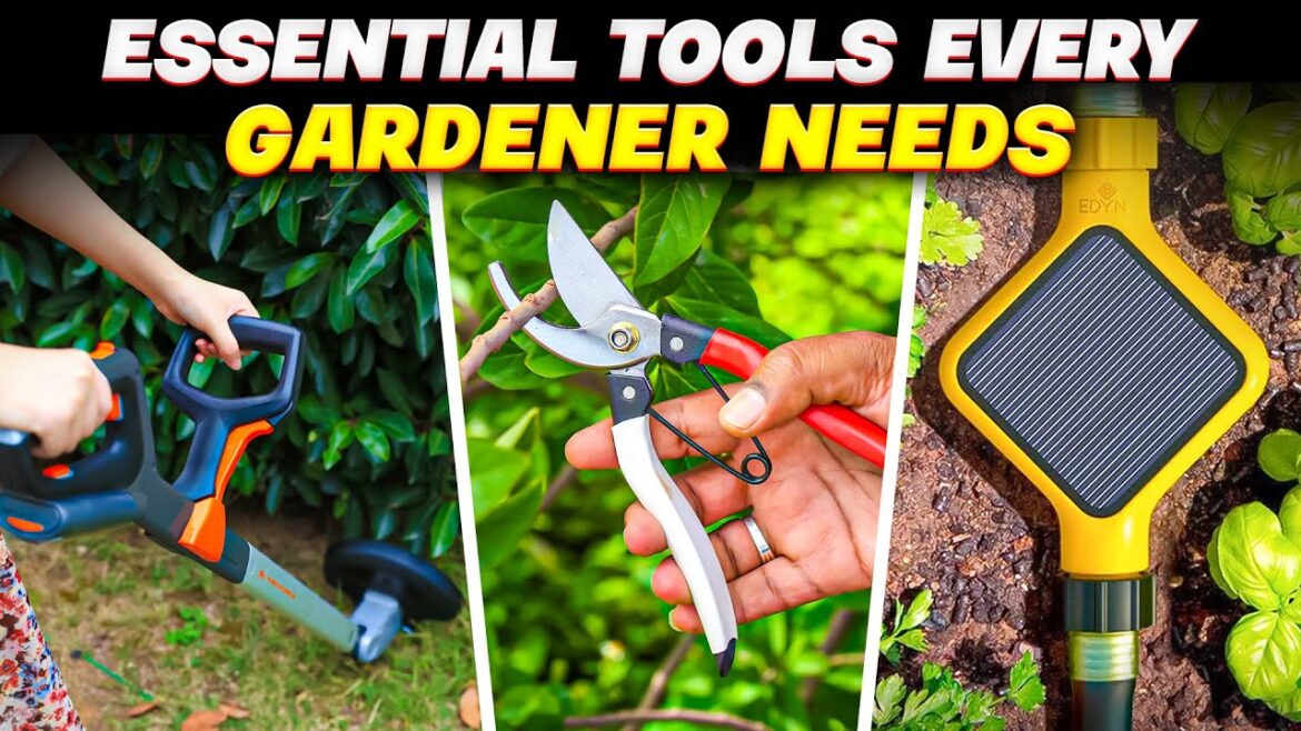 The best tools for at Home Gardening to keep your plants alive The best tools for at Home Gardening to keep your plants alive