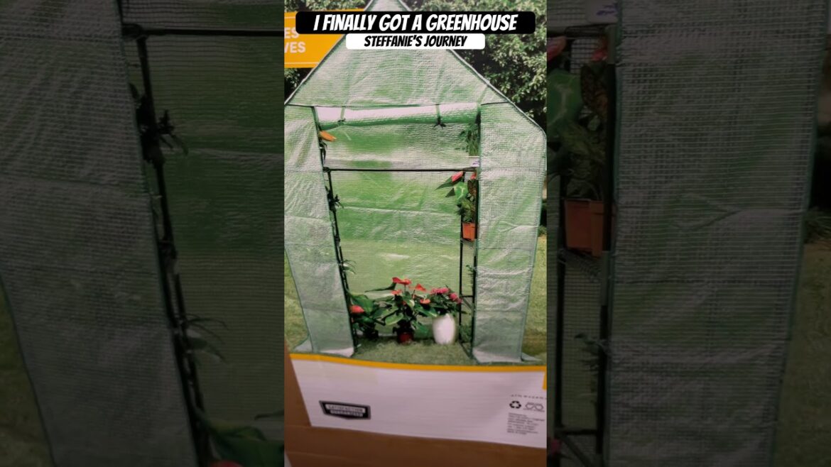 Small Walk-In Greenhouse from Tractor Supply for $27 | Steffanie’s Journey #Greenhouse #gardening Small Walk-In Greenhouse from Tractor Supply for $27 | Steffanie’s Journey #Greenhouse #gardening
