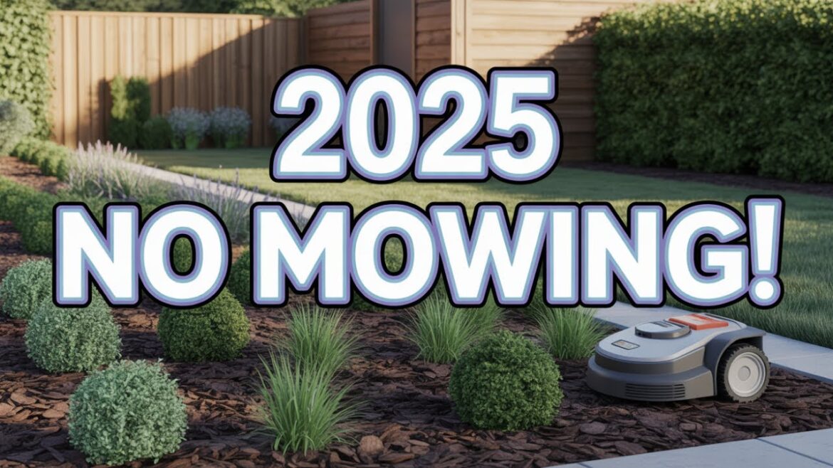 2025 Gardening Trends Ditch the Lawn, Go Sustainable 2025 Gardening Trends Ditch the Lawn, Go Sustainable
