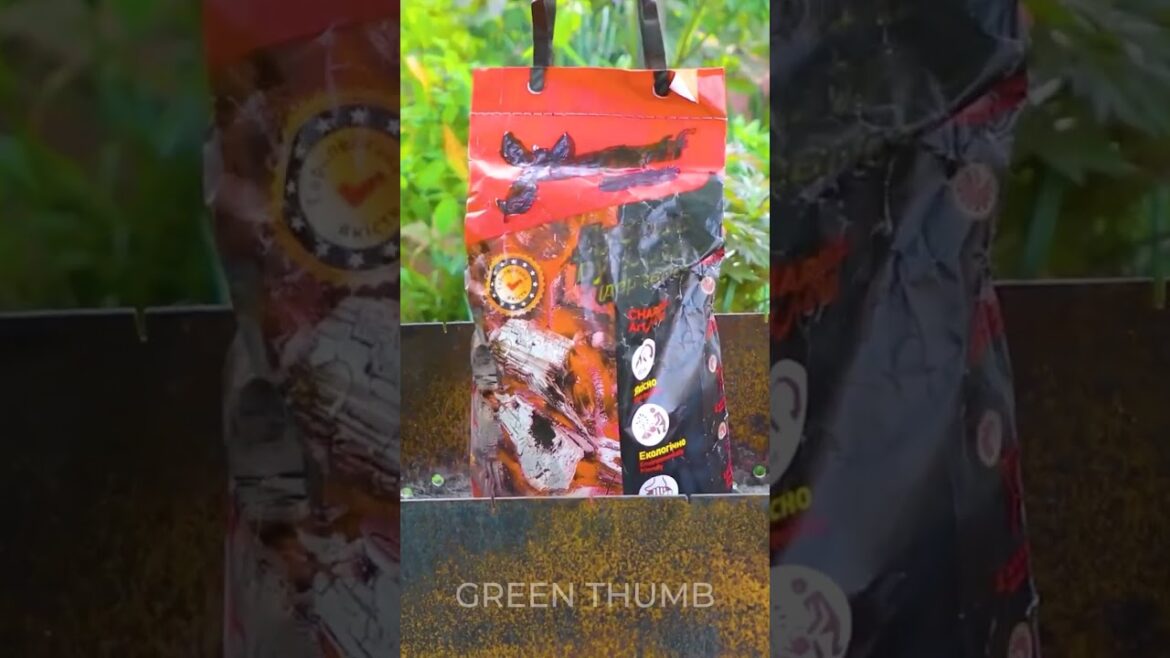 Smart Garden Hacks for Beginners Using Recycled Materials Smart Garden Hacks for Beginners Using Recycled Materials