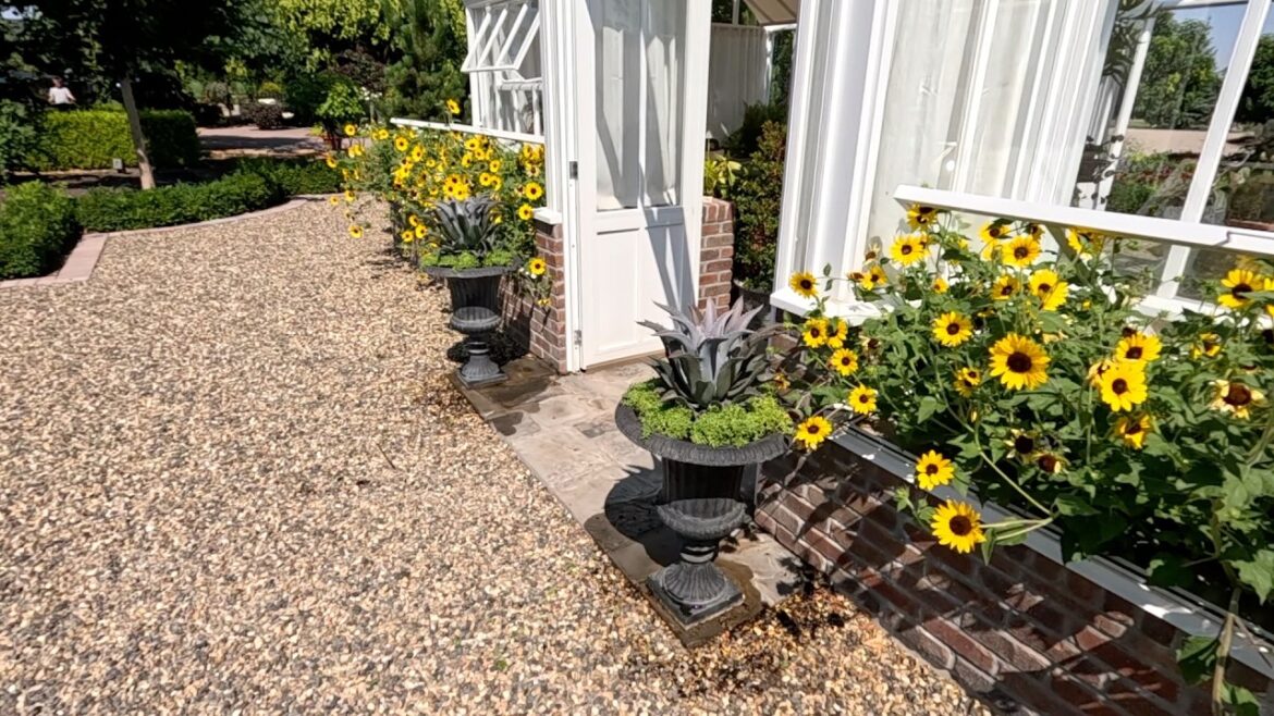 Garden Answer: New Perennials at the Garden Center, Swapping Out Tired Containers & Tree Trimming! 🌸🌿✂️ New Perennials at the Garden Center, Swapping Out Tired Containers & Tree Trimming! 🌸🌿✂️