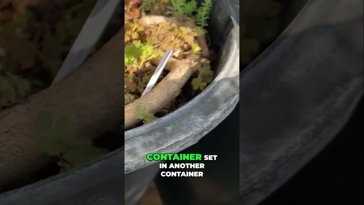 DIY Container Garden Stunning Home Project! #garden #gardendelight #gardenjournal DIY Container Garden Stunning Home Project! #garden #gardendelight #gardenjournal