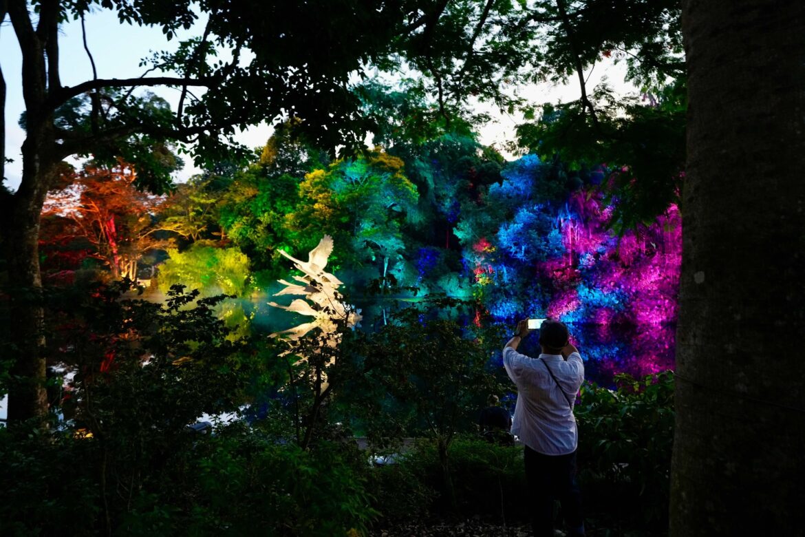 Singapore Botanic Gardens Is Having Its First-Ever Light Show From Now Till August 10 Singapore Botanic Gardens Is Having Its First-Ever Light Show From Now Till August 10