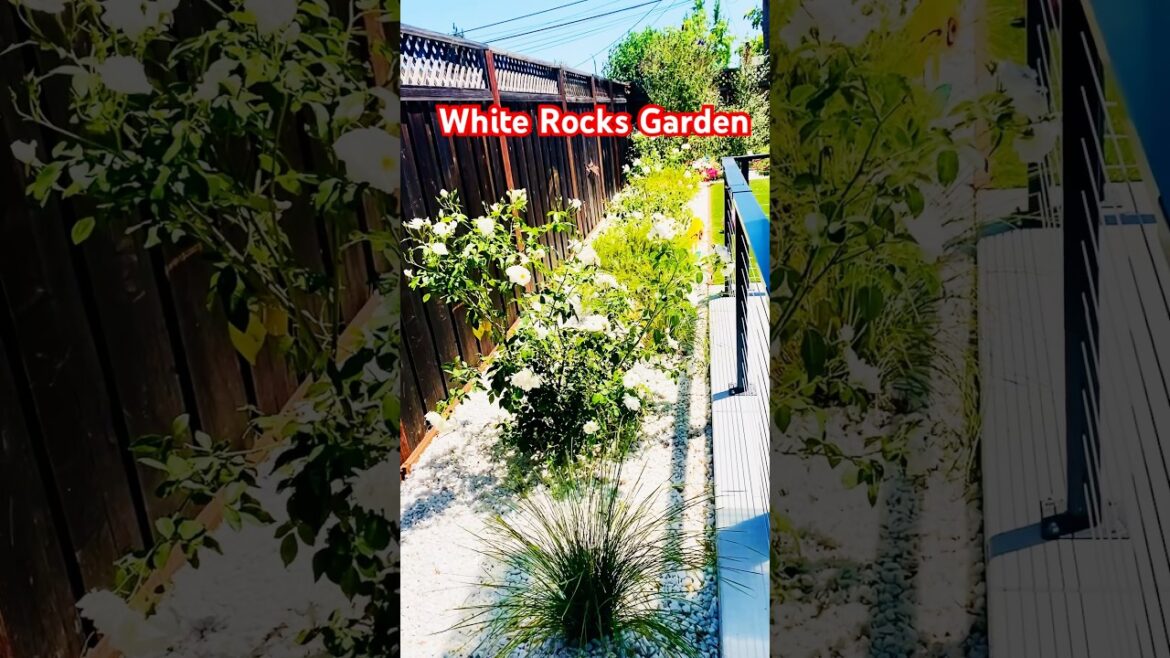 👩🏻‍🦰#Garden Design and Ideas👩🏻‍🦰