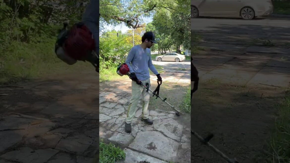 The KIDS just wanted to PLAY but the yard was in their way