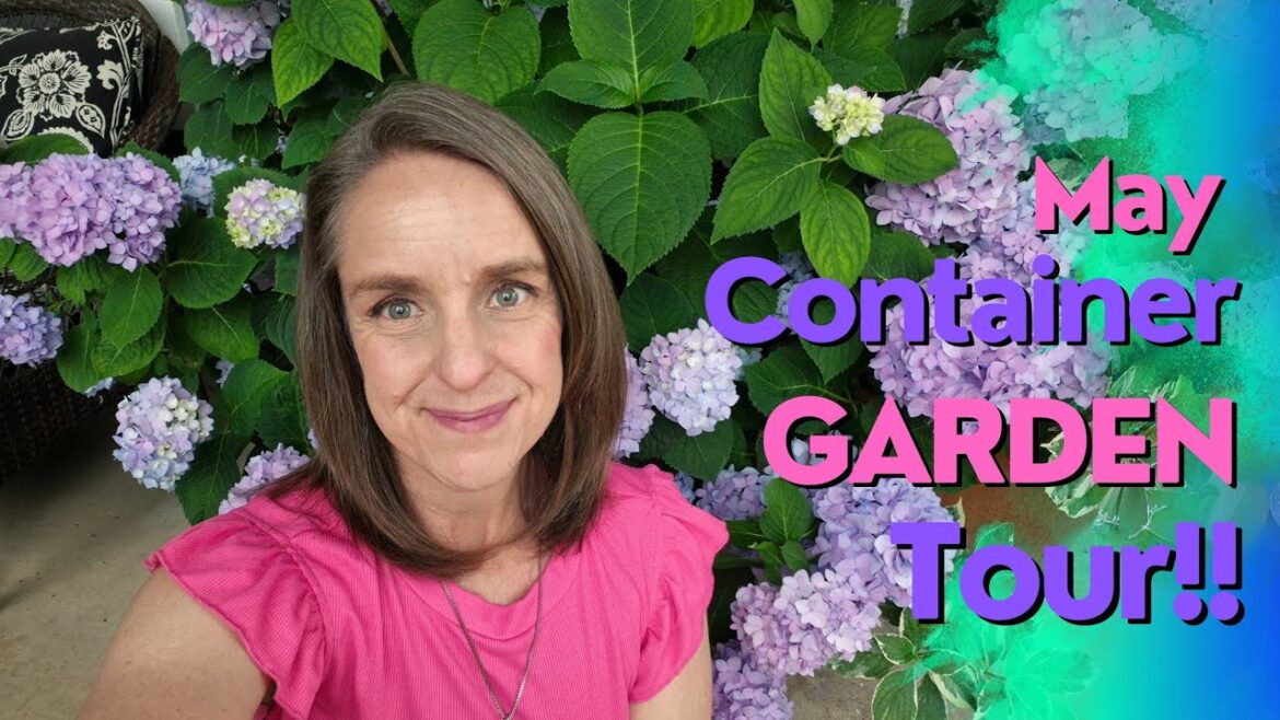 May ’25 Container Garden Tour! HUGE Hydrangeas in TEXAS??!! Plus – Lots of Container Design Tips! May '25 Container Garden Tour! HUGE Hydrangeas in TEXAS??!! Plus - Lots of Container Design Tips!