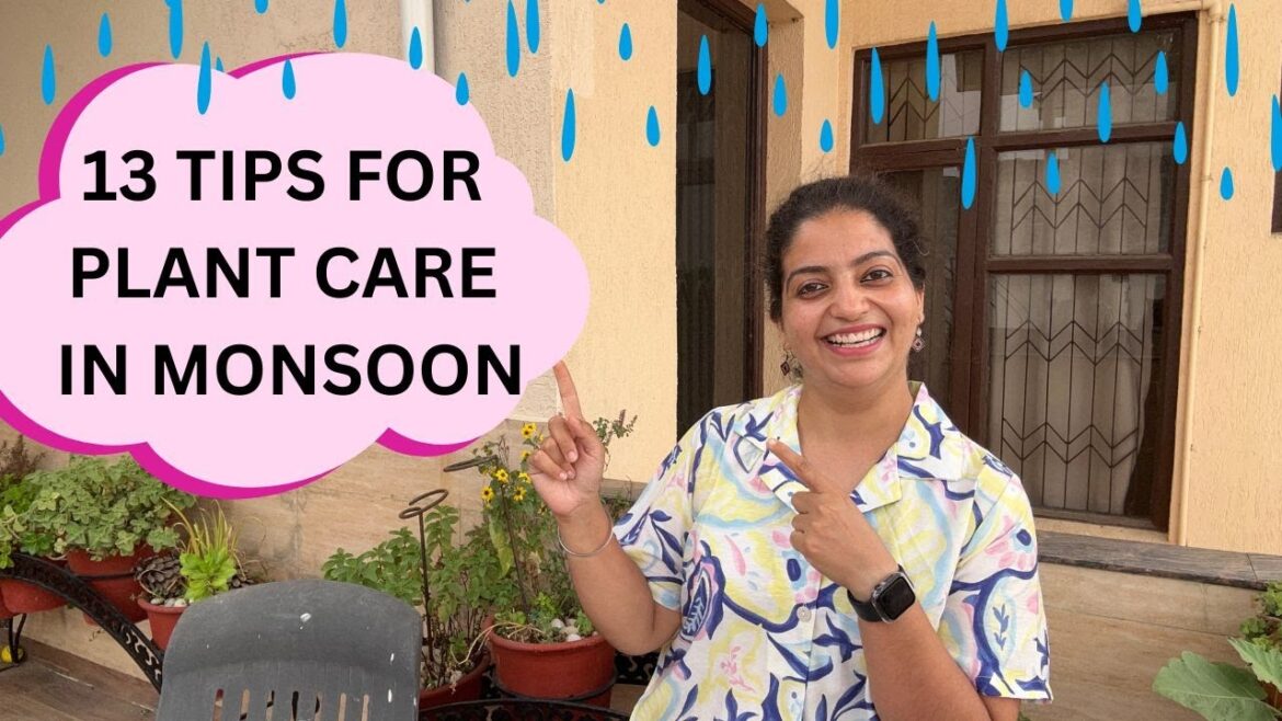 ☔13 Monsoon Special Tips for Plants | Gardening in Monsoon