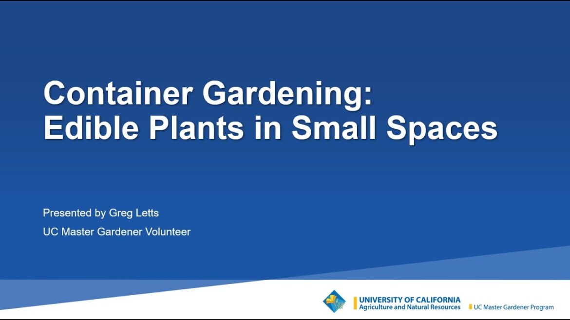 Container Gardening: Edible Plants in Small Spaces