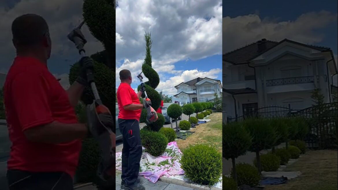 #landscape #lawncare #gardendesign #satisfying