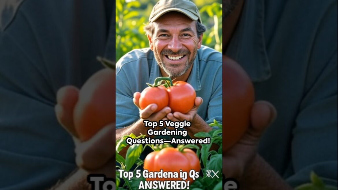 🌿Top 5 Vegetable Gardening Questions Answers 🌿Top 5 Vegetable Gardening Questions Answers