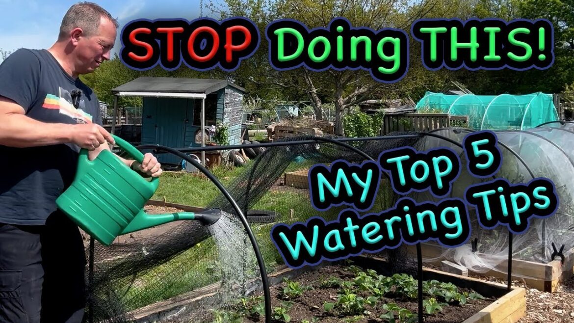 5 Easy Watering Tips Every Gardener Should Know!