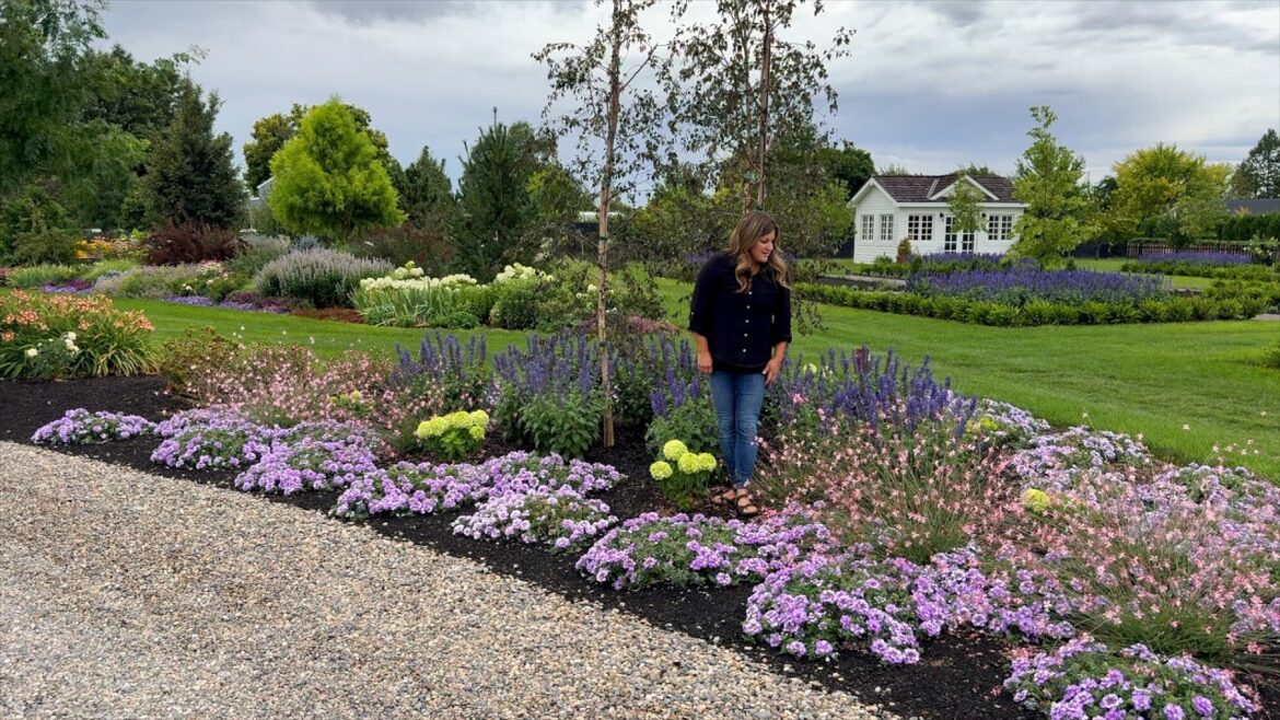 Garden Answer: July Garden Tour- Part One! 🌿☀️🥰 // Garden Answer July Garden Tour- Part One! 🌿☀️🥰 // Garden Answer
