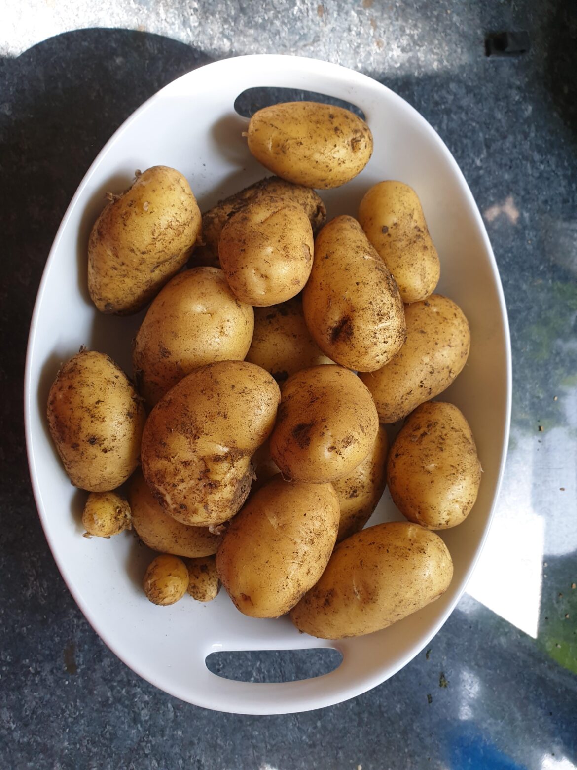 Fresh potatoes from the garden.