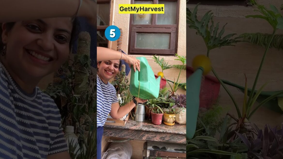 July August Mein Karne Hai Garden Ke Yeh Sabhi Kaam | Monsoon Garden Tasks
