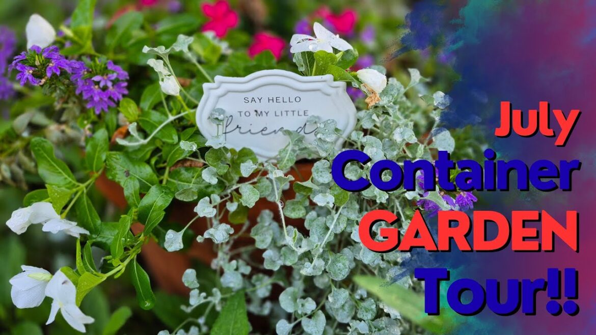 July '25 Container Garden Tour! Over 50 Containers!! #northtexasgarden #containergardening