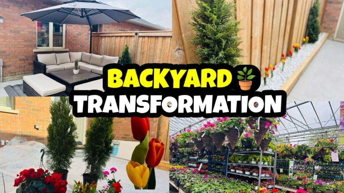 Backyard Makeover ЁЯМ╣Gardening Tips Backyard Makeover ЁЯМ╣Gardening Tips