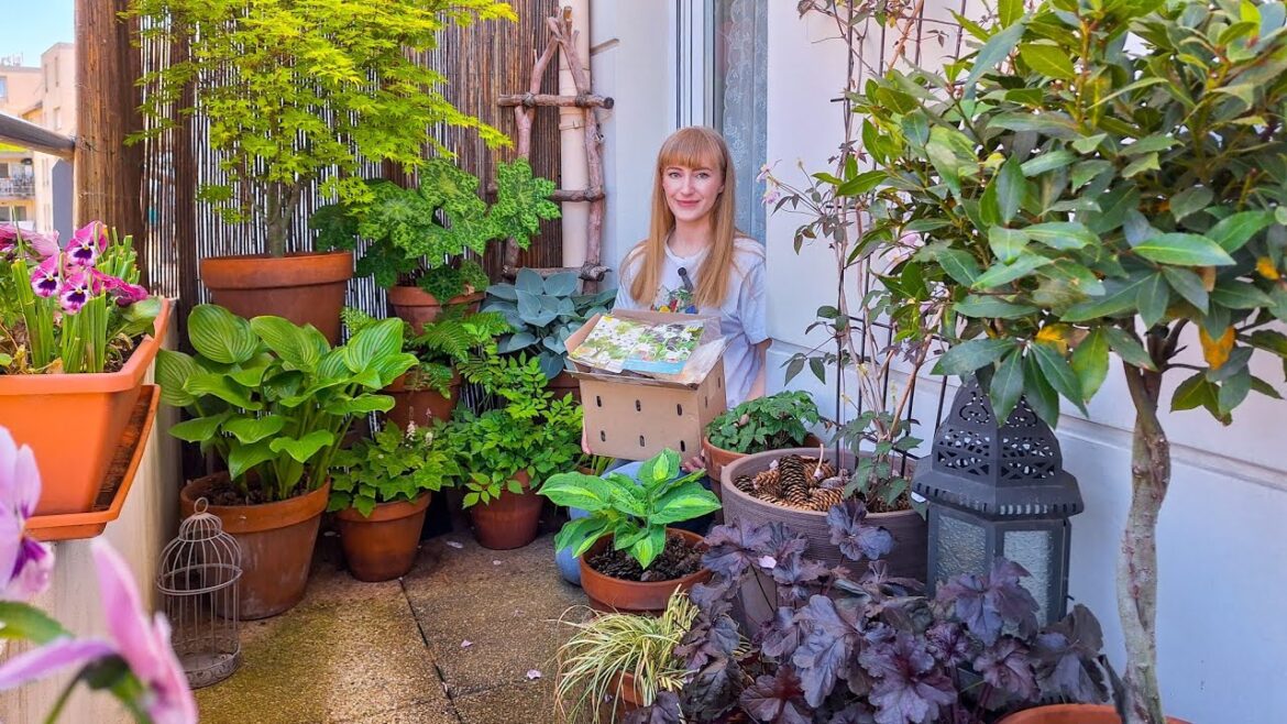 Shade Container Garden Haul: Bare Root Perennials & Summer Bulbs Shade Container Garden Haul: Bare Root Perennials & Summer Bulbs