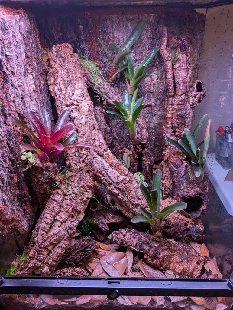 Before/after 5 months of growth