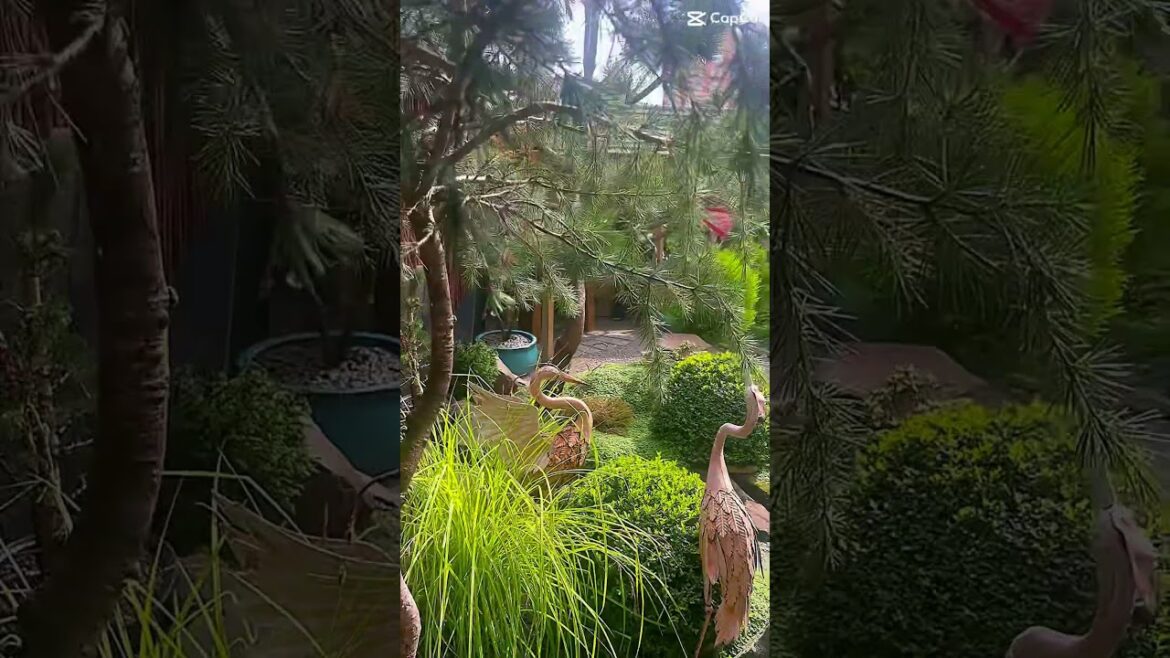 Mashup 10 @ Japanese Garden Bristol