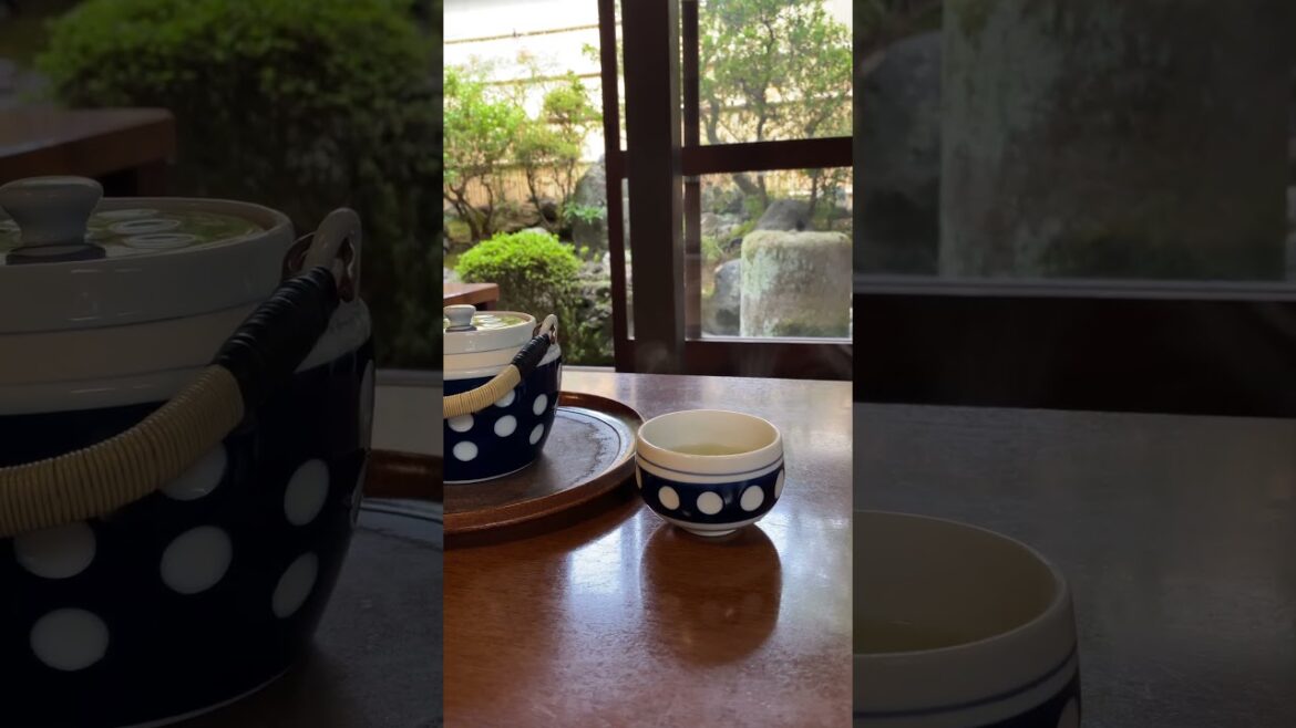 Nothing like tea in front of a Japanese garden #japan #travel #shorts