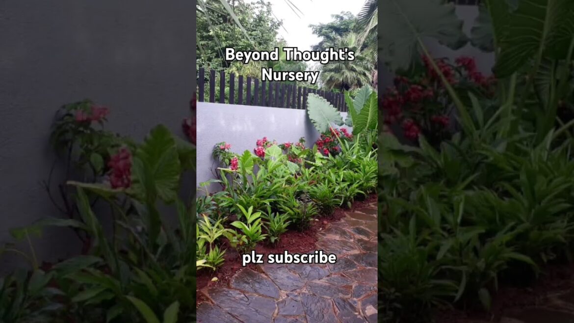 Garden design#fypシ゚viral #landscapearchitects #trendingreels #gardendevelopment