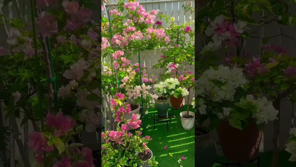 Garden Decor Trends To Watch 🪴🌺 #gardeningideas #homedecorideas #gardening #oasis #homedecor #diy