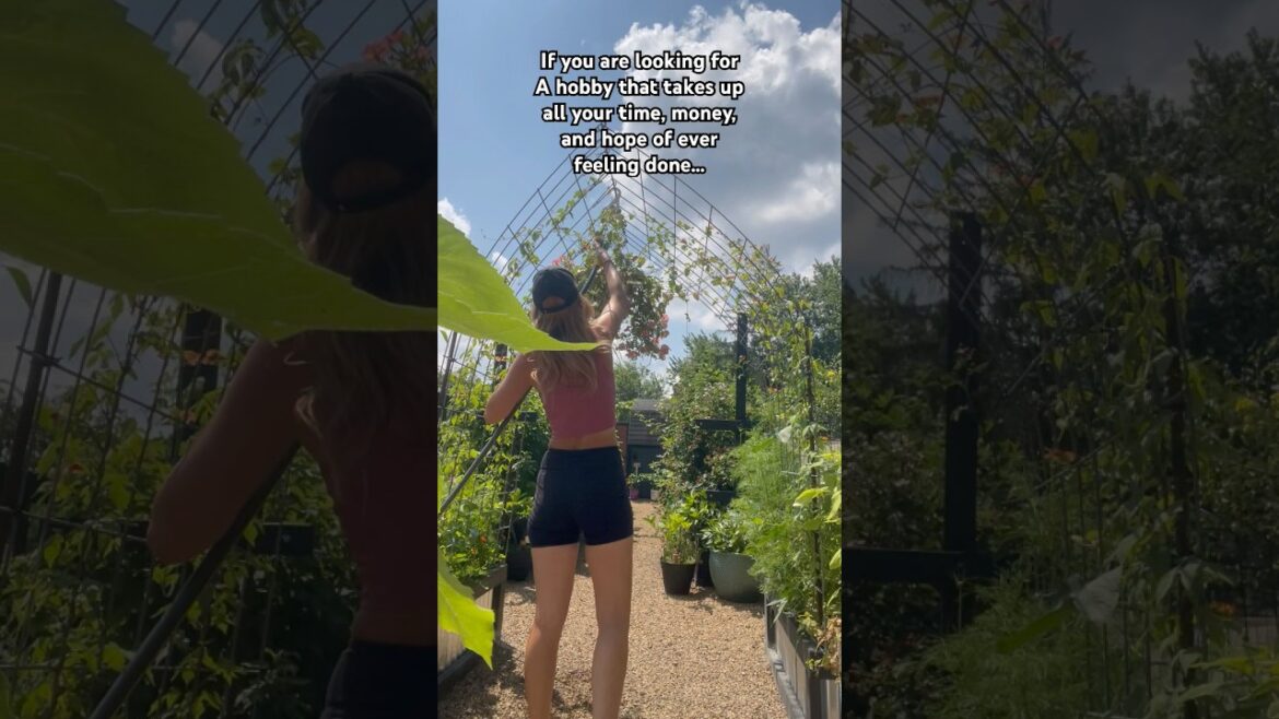 Look no further lol #garden #gardening #hobby #gardendesign #funny #shorts