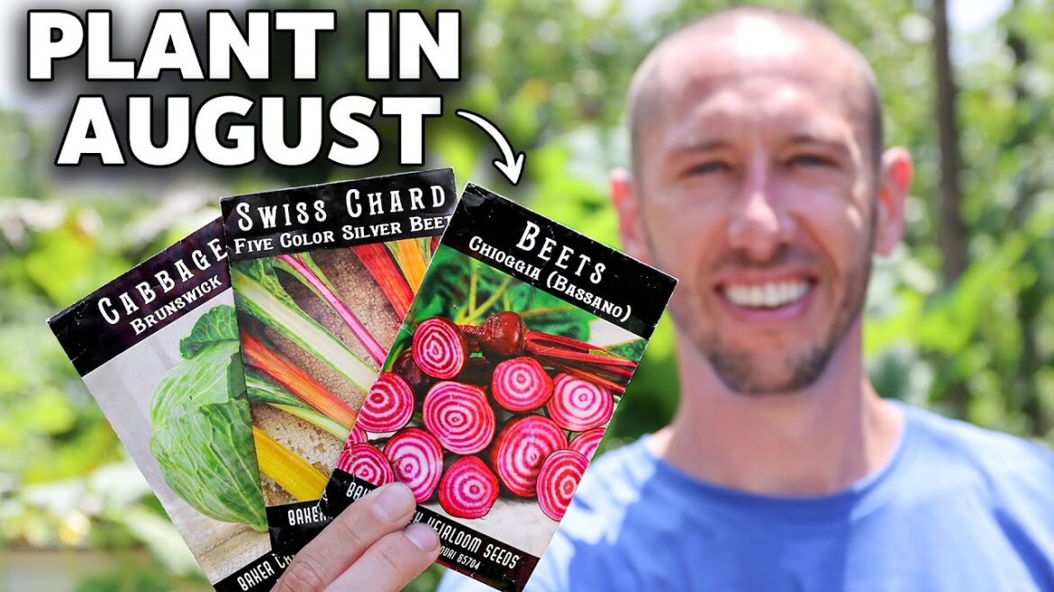 James Prigioni: 20+ Crops You Gotta Plant in August! 20+ Crops You Gotta Plant in August!