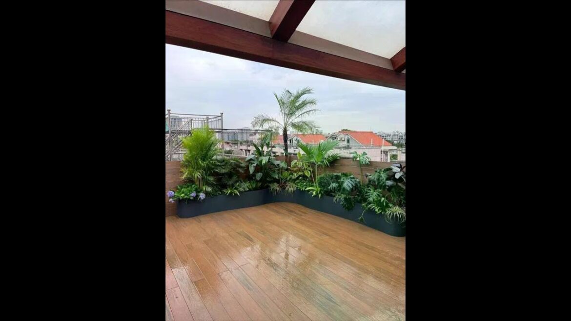 Creating an exquisite tropical green landscape on the terrace at home is really cool #plant landsca
