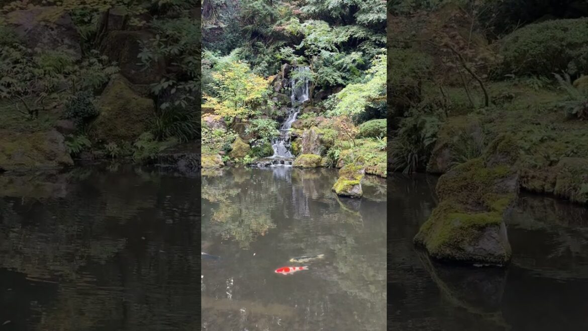 Japanese Garden Waterfall