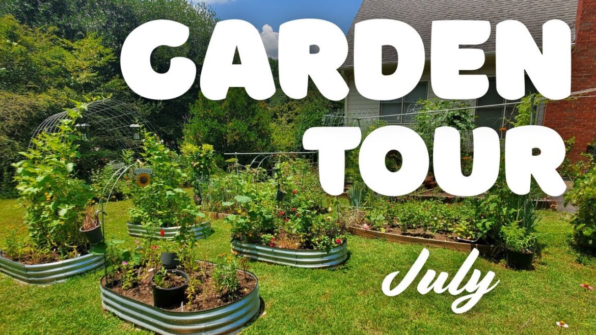 Backyard GARDEN TOUR, July 2025: Finally, the Garden is Growing!