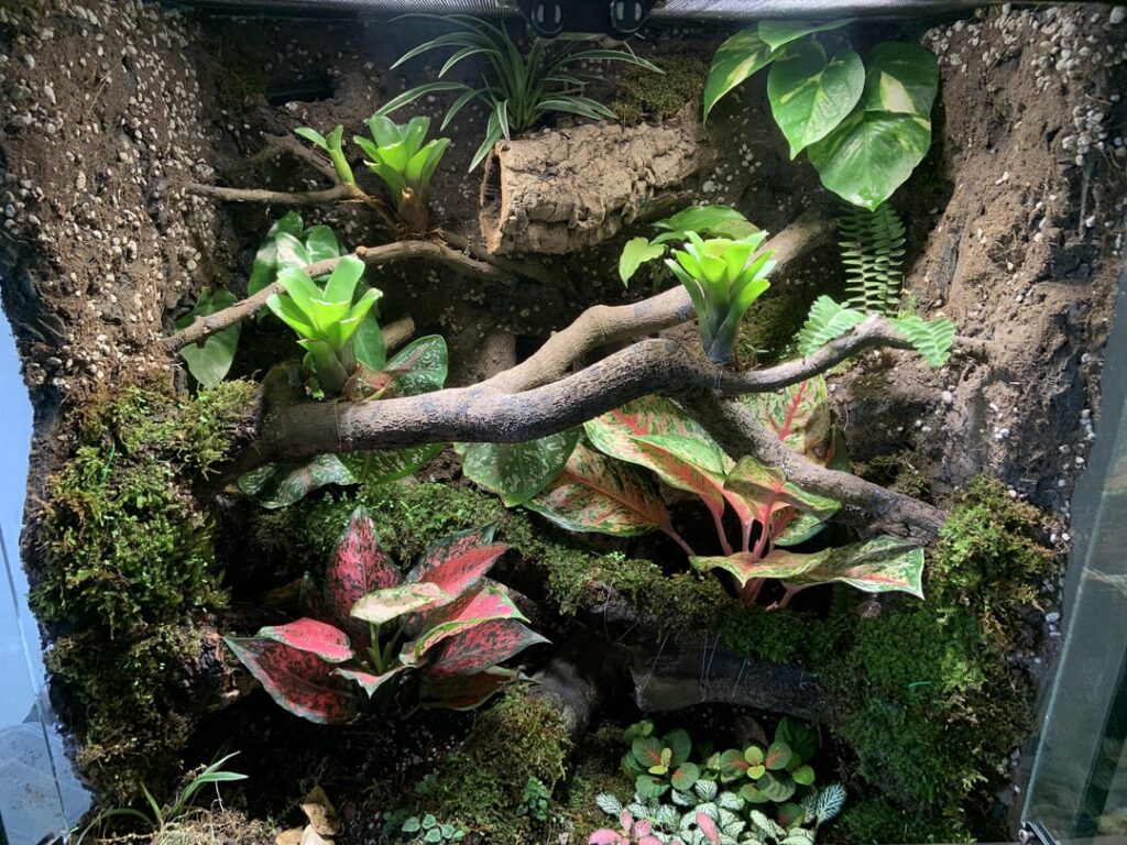 Plant suggestions please Plant suggestions please