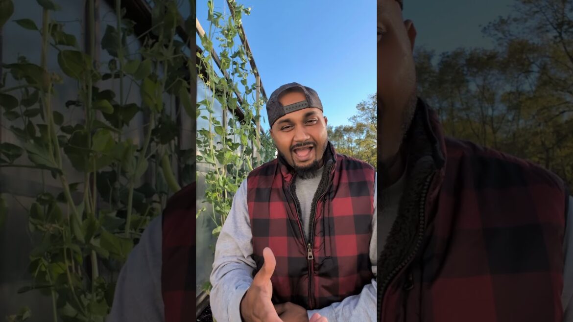Powerful Motivational Speech " Live A Longer Life"  #gardening #motivation #life