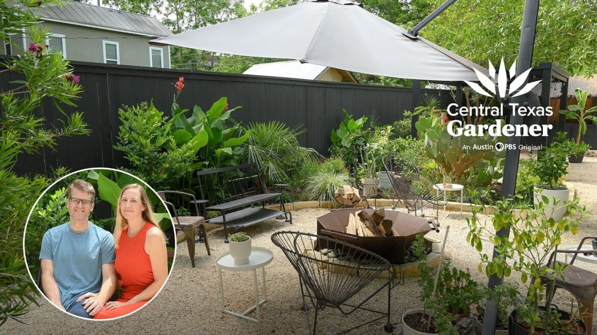 Contemporary Courtyard Makeover