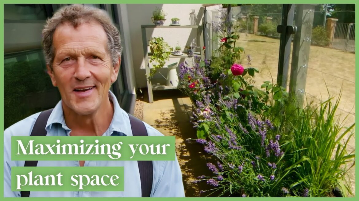 Monty Don’s Gardening Tips For Transforming Tiny Spaces Monty Don's Gardening Tips For Transforming Tiny Spaces