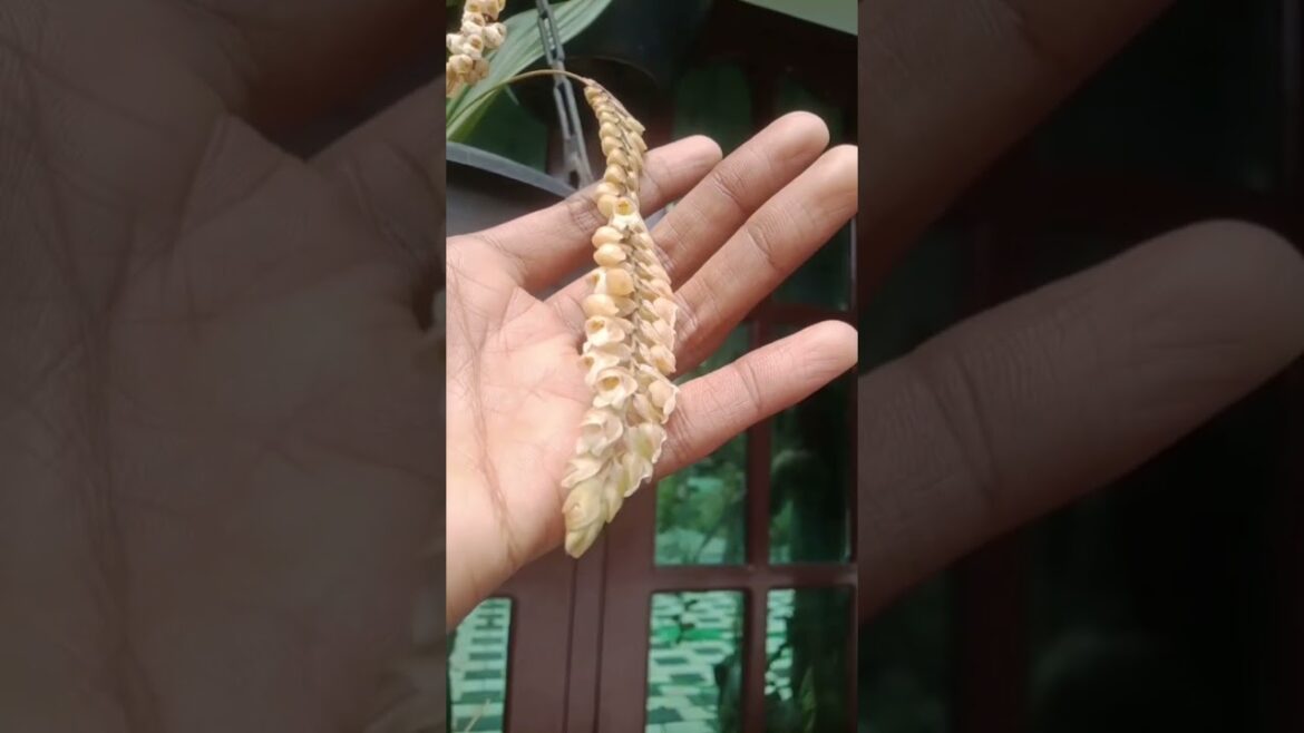 garden tips &tricks #gardenideas #gardening