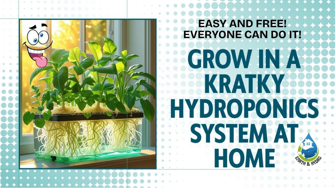 FREE FOOD 🌿 in Water System! Home Hydroponics 💦