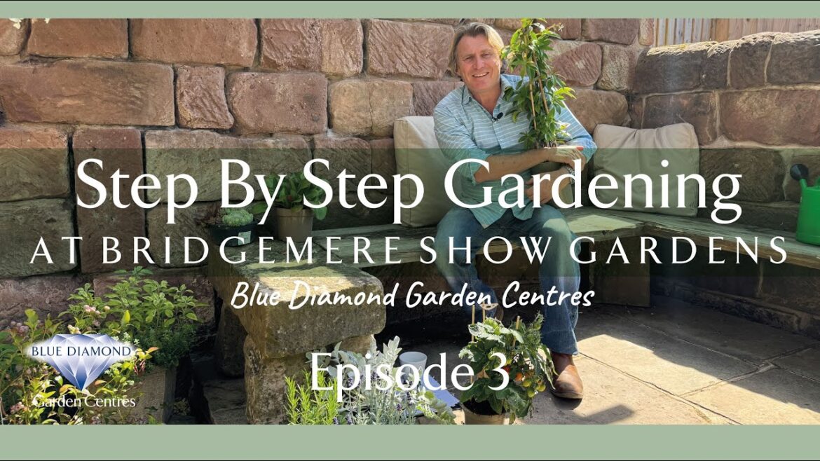 Step-by-Step Gardening with David Domoney at Bridgemere Show Gardens – EPISODE 3 Step-by-Step Gardening with David Domoney at Bridgemere Show Gardens - EPISODE 3