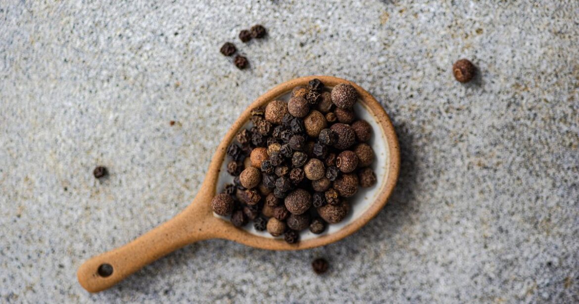 Gardeners told to sprinkle their garden with black pepper this summer Ipso logo
