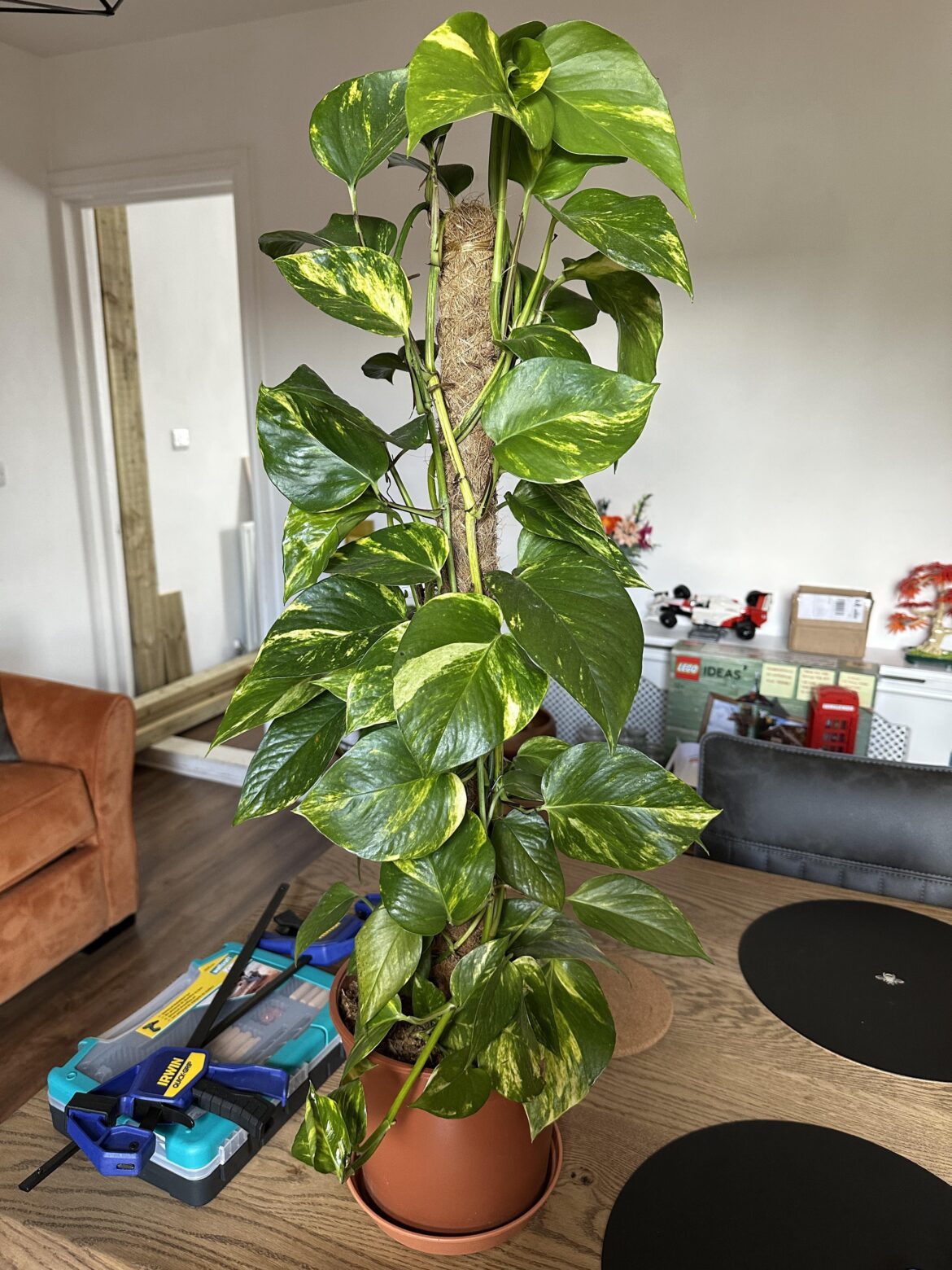 Could not believe my eyes! 😍