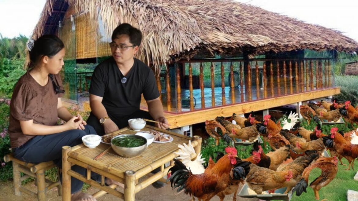 CEO Hung talks about new plans when Ly Tieu Ca’s house is completed? CEO Hung talks about new plans when Ly Tieu Ca's house is completed?