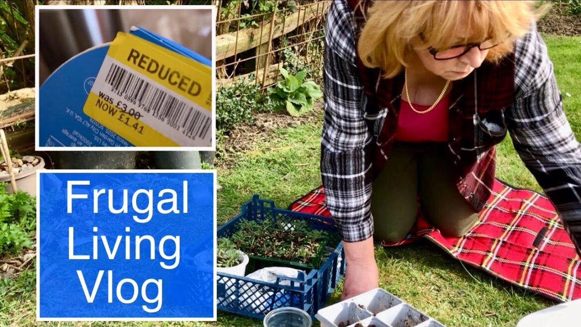 THE LAST OF THE STORED POTATOES | MARKDOWNS | CONTAINER GARDEN | FRUGAL LIVING VLOG