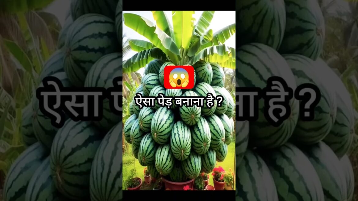 Unbelievable Hybrid Plant growth ЁЯШ▒ #shorts #plants Unbelievable Hybrid Plant growth ЁЯШ▒ #shorts #plants