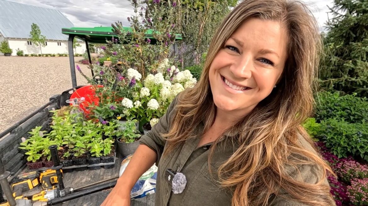 Garden Answer: Planting Hydrangeas, Buddleia & Hyssop + Strawberry Harvest! ๐ฟ๐๐ // Garden Answer Planting Hydrangeas, Buddleia & Hyssop + Strawberry Harvest! ๐ฟ๐๐ // Garden Answer