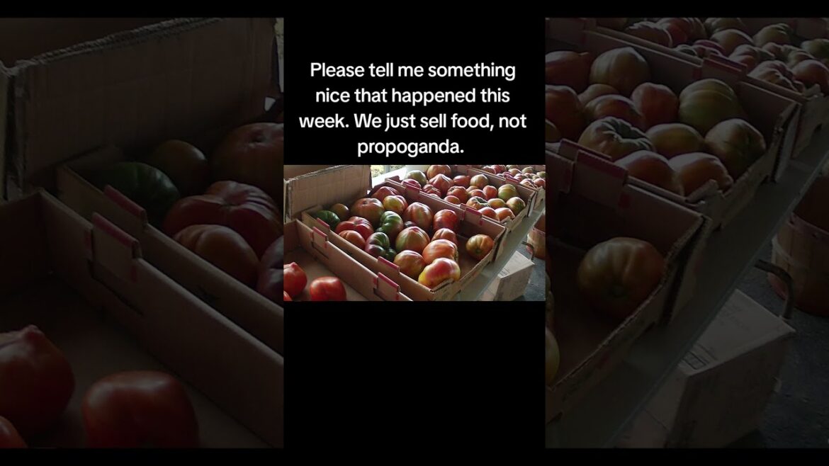 #goodthings #shorts #help